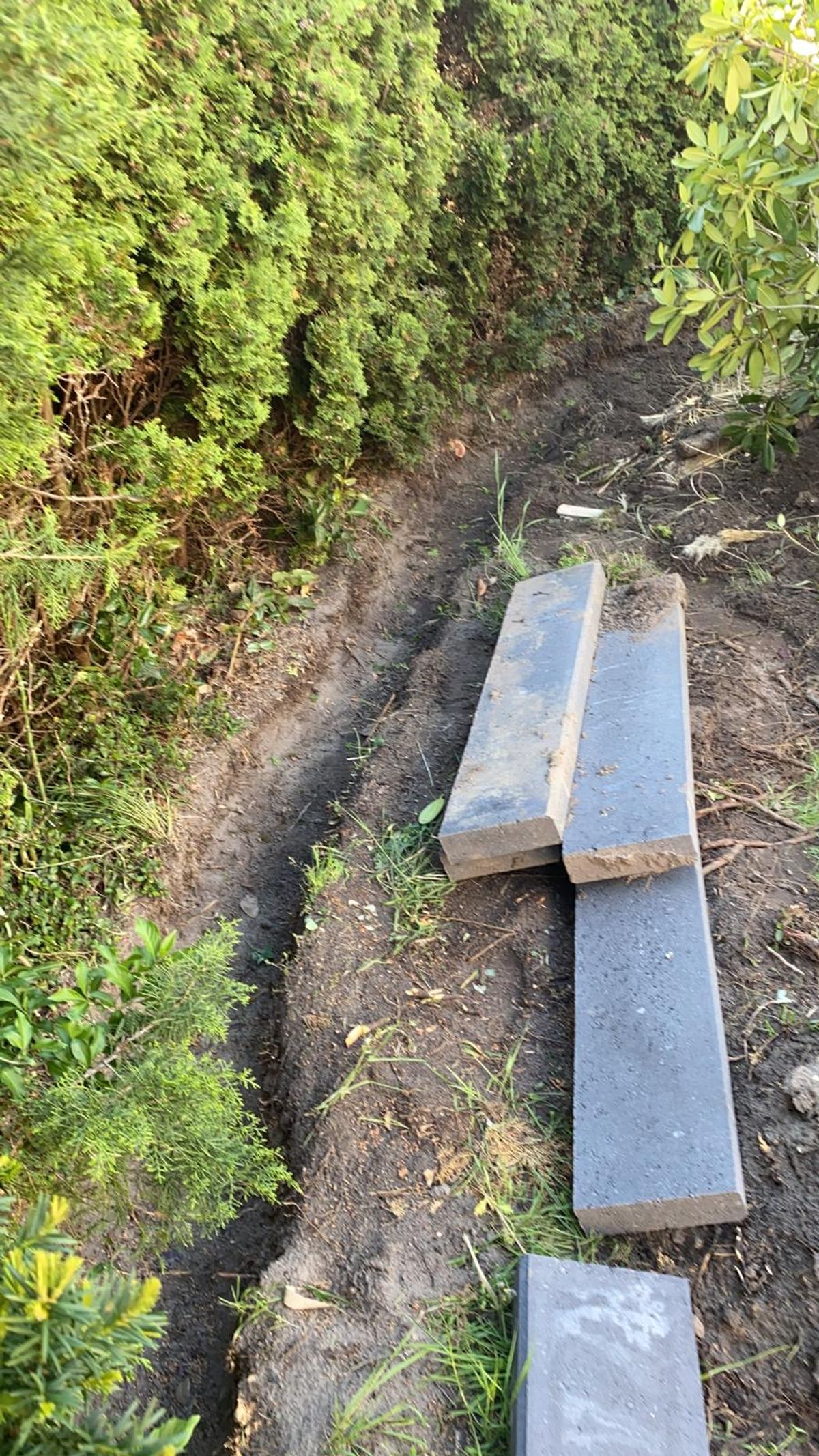 Gartengestaltung vom Fachmann, alles aus einer Hand!